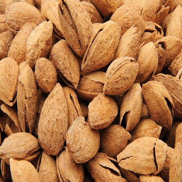 Amandes avec coque grillé en vrac - لوز محمص بالقشرة - Image 4