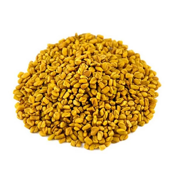 Graines de Fenugrec - Helba - بذور الحلبة - Image 2
