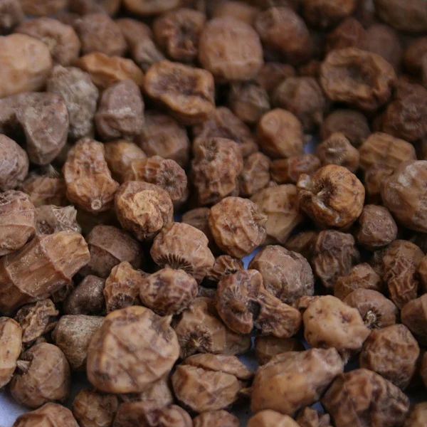 Amandes de terre, Souchet comestible - حب العزيز - Image 3