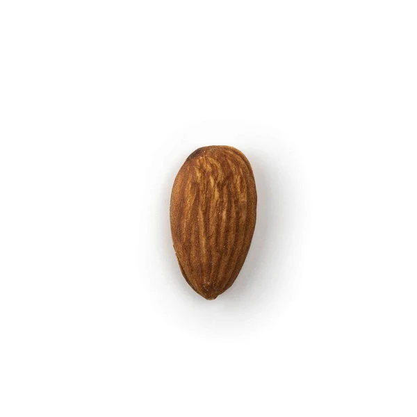 Amandes natures USA - لوز مكركب - Image 3