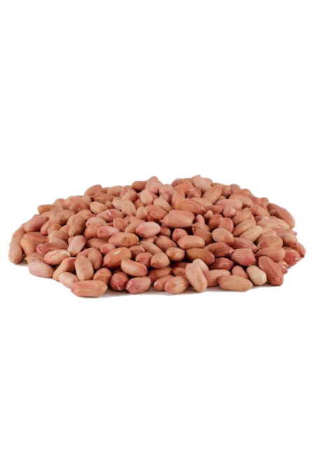 Arachides Cacahuètes nature décortiquées - كاوكاو - الفول السوداني - Image 3