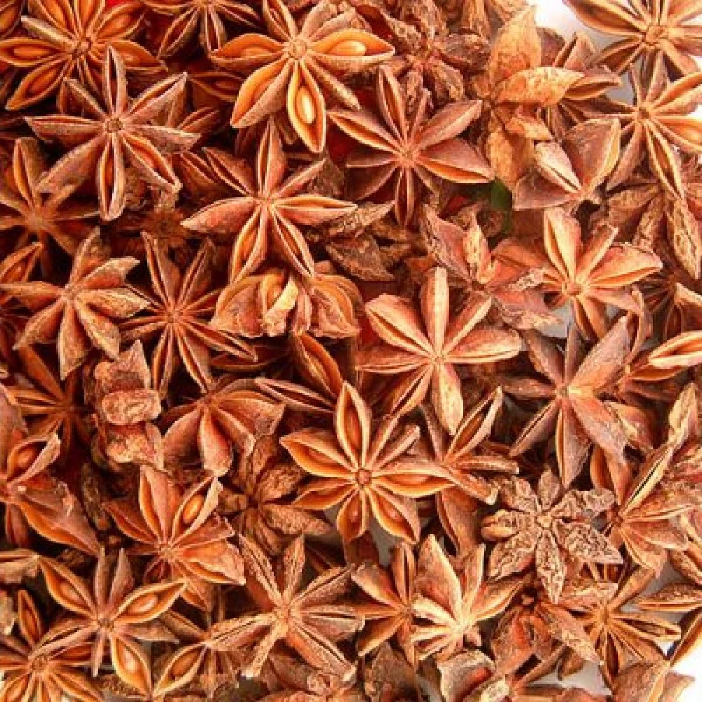 Anis étoilé (Badiane) - باضيان الينسون النجمي - Image 2