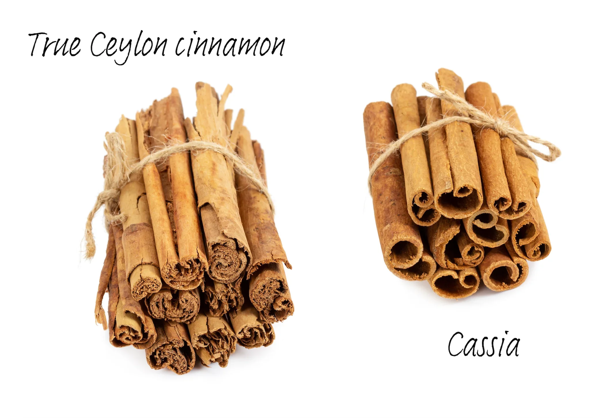 Cannelle de Ceylan Premium en Bâtons Longs (18 cm) - C5 | قرفة سيلان طويلة - Image 7