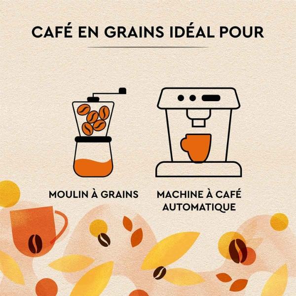 Café en Grains Petit-Déjeuner intense et généreux, 1kg - Carte Noire - Image 5
