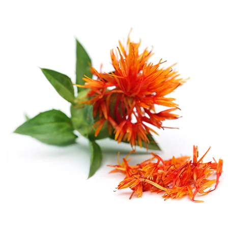 Pétales de Carthame linoléique - نبات العصفر  Safflower - safran bâtard - Image 5
