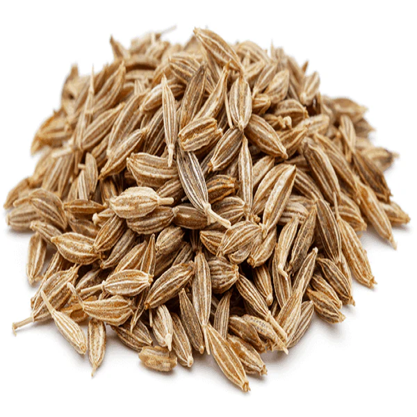 Graines de carvi - بذور الكروية - Image 2