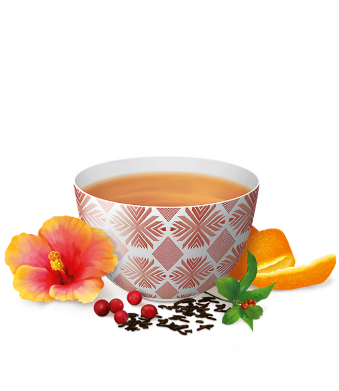 Infusion Énergie Positive Canneberge Hibiscus - YOGI TEA - Image 2