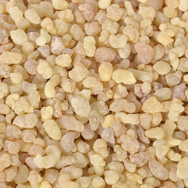 Encens Oliban Bio  - اللبان الذكر - Image 2