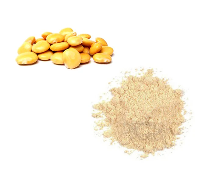 Farine de lupin amer - دقيق الترمس ترمس  مر - Image 4