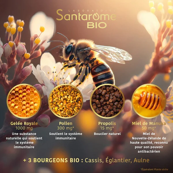 Gelée Royale Pollen Propolis Miel de Manuka Bio, 20 ampoules- SANTAROME BIO - Image 7