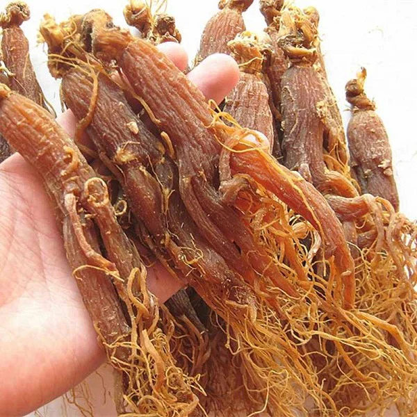 Ginseng rouge en racines  جذور الجينسنغ الأحمر - Image 3
