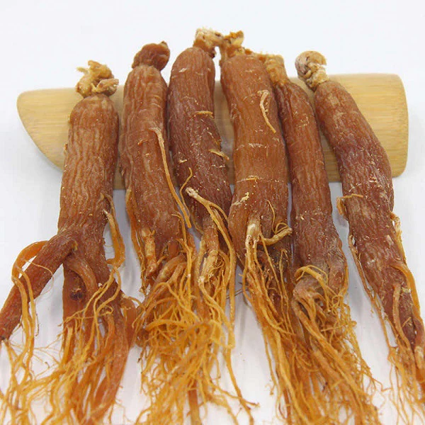 Ginseng rouge en racines  جذور الجينسنغ الأحمر - Image 4
