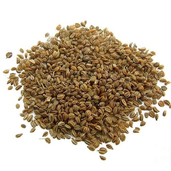 Graines de céleri زريعة الكرافس - Image 2