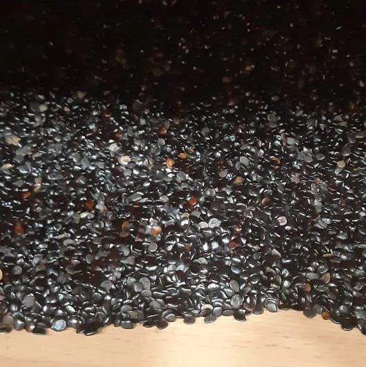 Graines de nigelle d'Arabie Saoudite - حبة البركة - Image 2