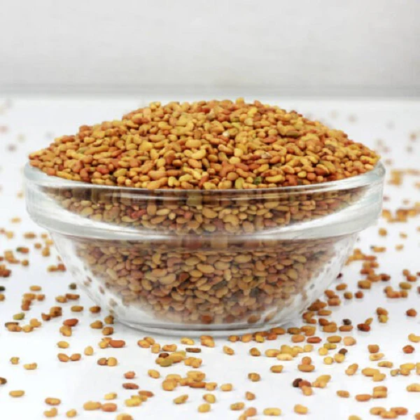 Graines de Luzerne (Alfalfa) - حبوب الفصة - Image 3
