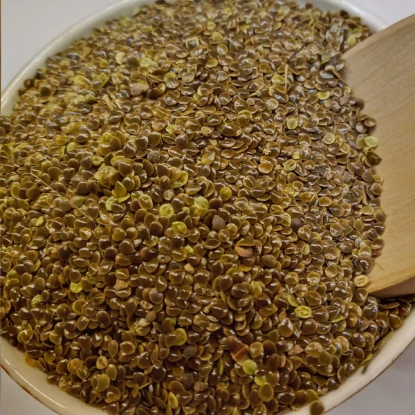Graines d' Ortie piquante - زريعة الحريكة - Image 3