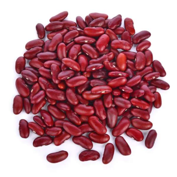 Haricots Rouges - فاصوليا حمراء