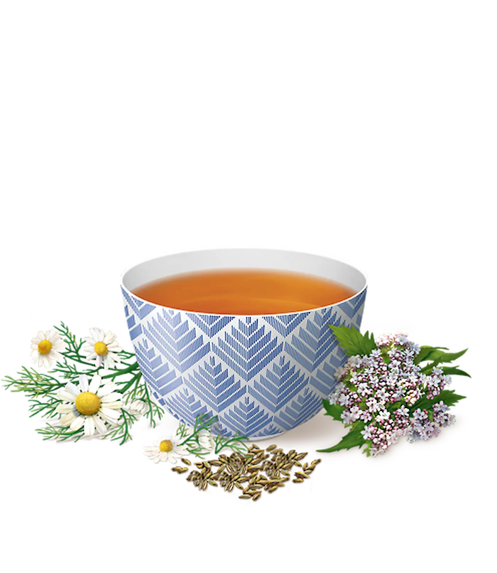 Infusion Bonne Nuit - Yogi Tea - Image 2