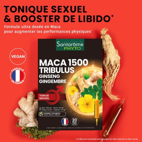 Maca 1500 Tribulus Ginseng Gingembre, 20 ampoules - SANTAROME BIO - Image 3