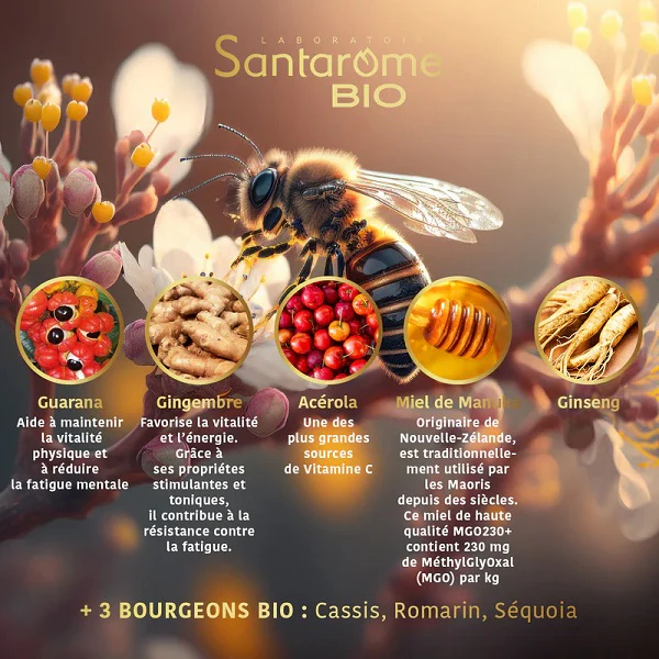 Ginseng Guarana Acérola Gingembre Miel de Manuka Bio, 20 ampoules - SANTAROME BIO - Image 6