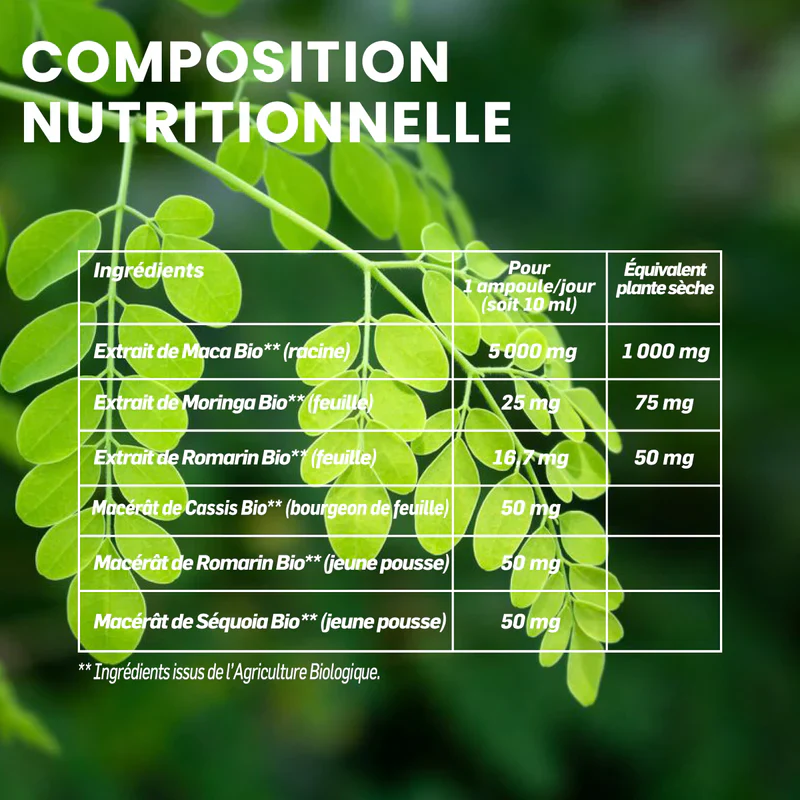 Moringa Maca Bio, 20 ampoules - SANTAROME BIO - Image 5