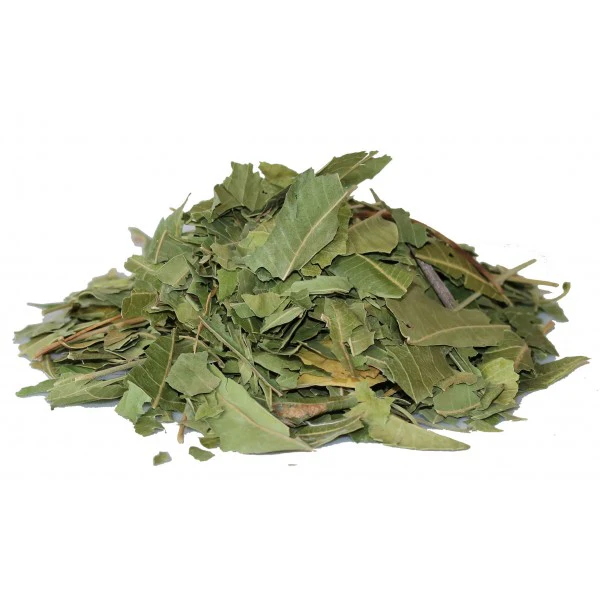 Feuilles de neem - أوراق النيم - Image 3