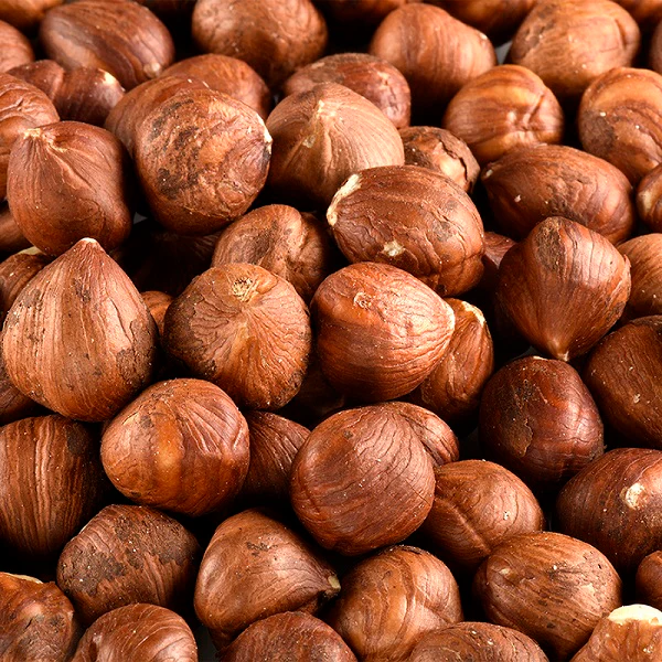 Noisettes crues en vrac نوازيط البندق - Image 3