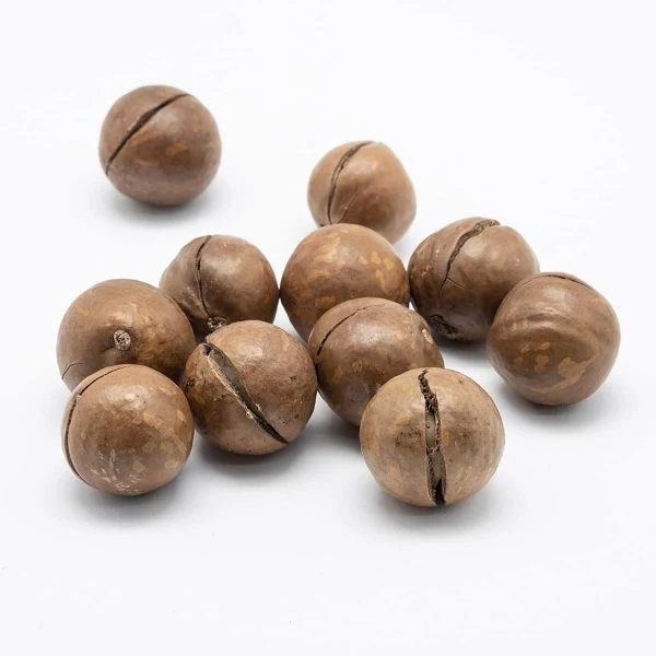 Noix de macadamia fraiche avec coque et clé d'ouverture - Image 2