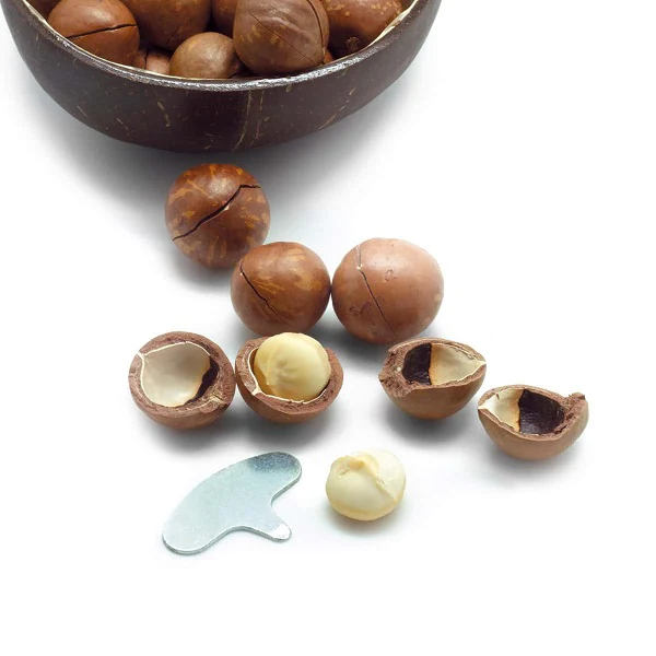 Noix de macadamia fraiche avec coque et clé d'ouverture - Image 3