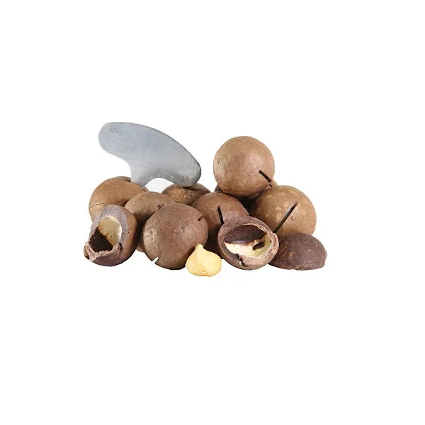 Noix de macadamia fraiche avec coque et clé d'ouverture - Image 5