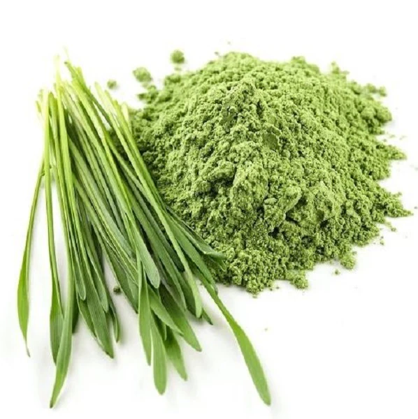 Herbe de blé Bio  en poudre wheatgrass - بودرة عشبة القمح العضوي - Image 3