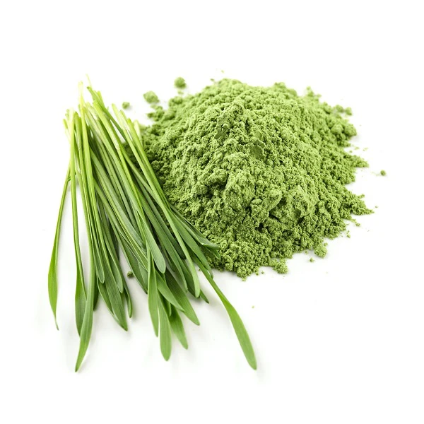 Herbe de blé Bio  en poudre wheatgrass - بودرة عشبة القمح العضوي - Image 4
