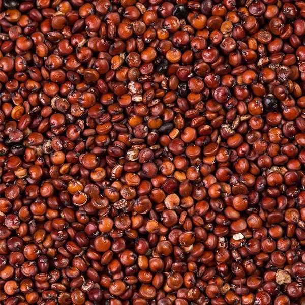 Quinoa rouge en vrac - كينوا حمراء - Image 3