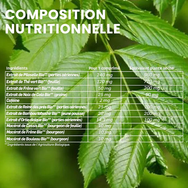 Rétention d'Eau Bio, 15 comprimés - SANTAROME BIO - Image 5
