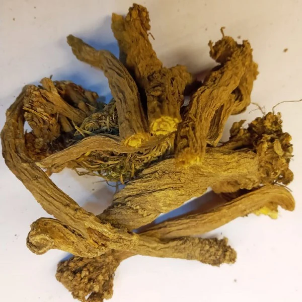 Sarghina en racines - سرغينة عود - Image 2