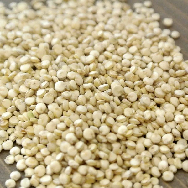 Quinoa blanc en vrac - كينوا بيضاء - Image 2